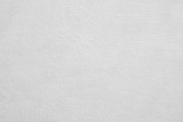 Best Attic Mold Removal  in USA